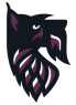 DT Image