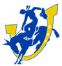 DT Image